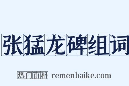 张猛龙碑组词是什么意思的图片